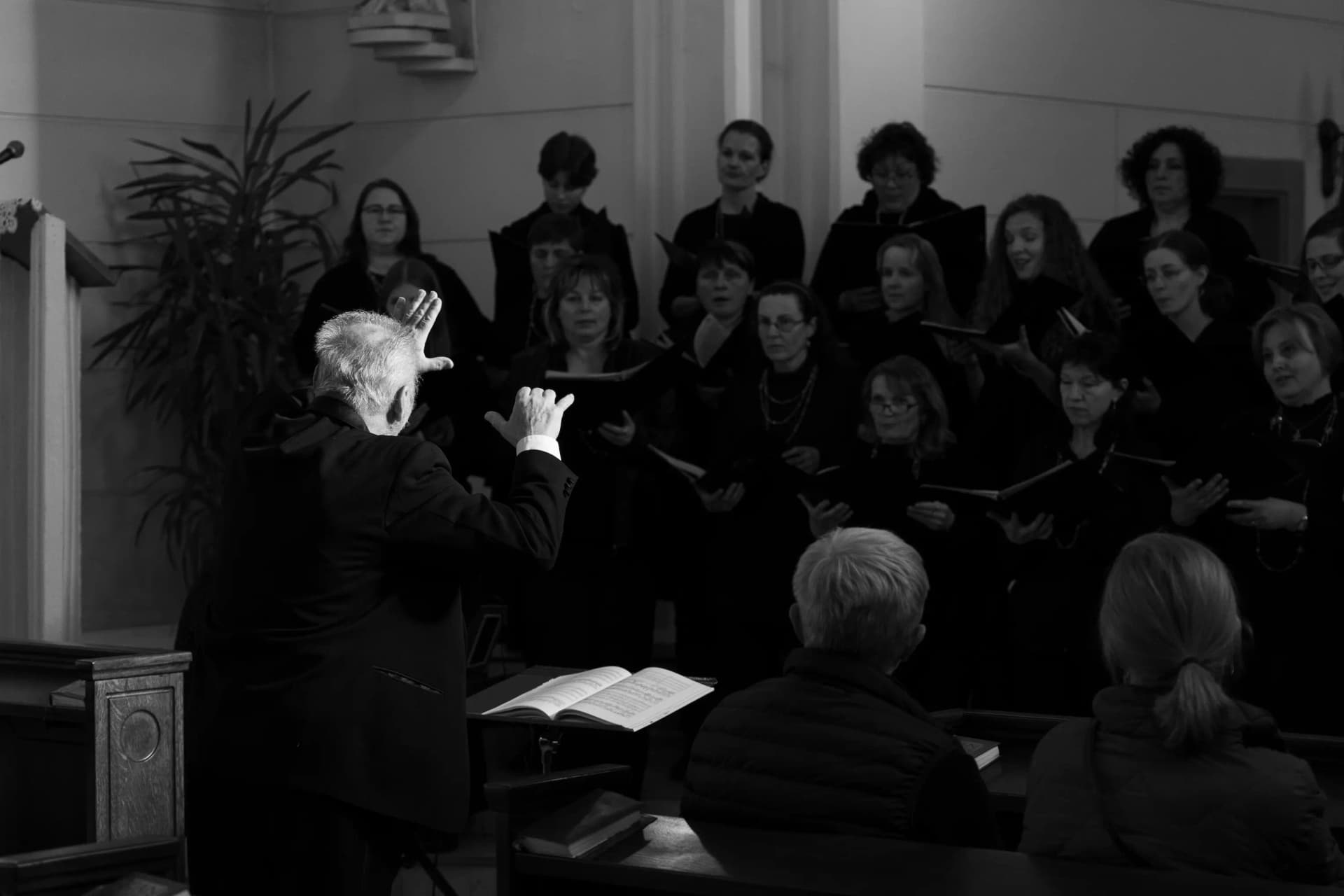 Zastavení času i tónů